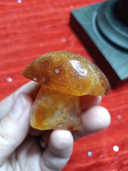 Crystal Mushroom Agate