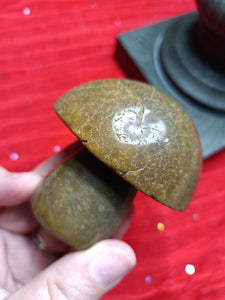 Ocean Jasper Crystal Mushroom