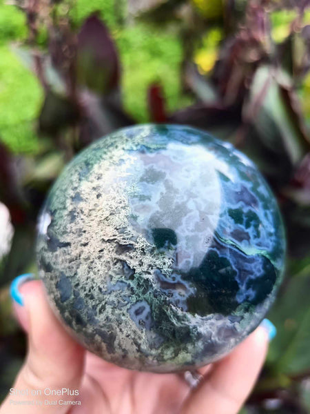 Moss Agate Crystal sphere high Quality with cave druzy