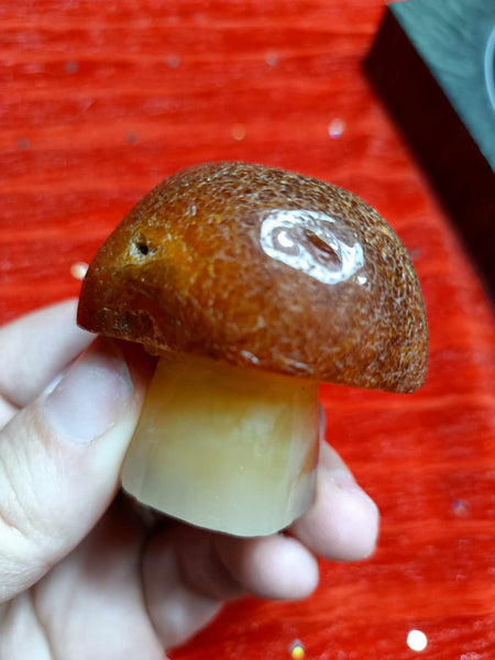 Crystal Mushroom Agate