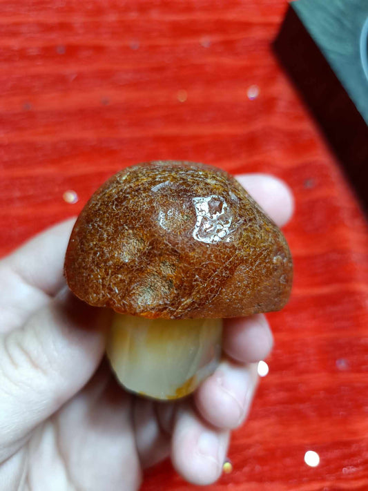 Crystal Mushroom Agate