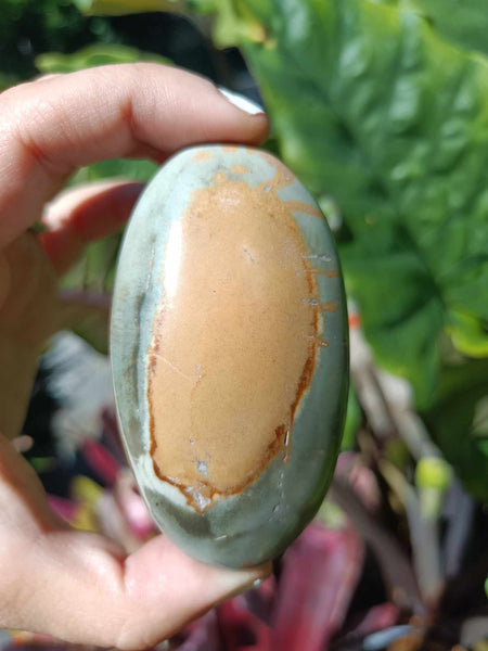 Polychrome Jasper Palm Stone