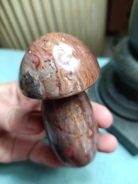 Polychrome Jasper Crystal Mushroom