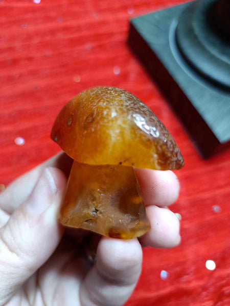 Crystal Mushroom Agate