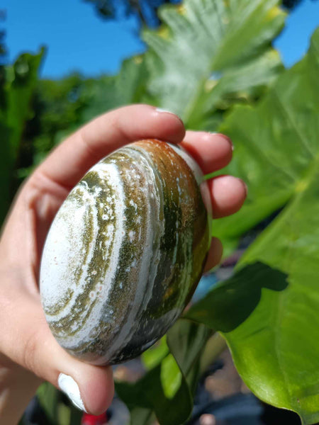 Ocean Jasper Crystal Palmstone