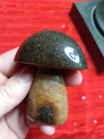 Ocean Jasper Crystal Mushroom