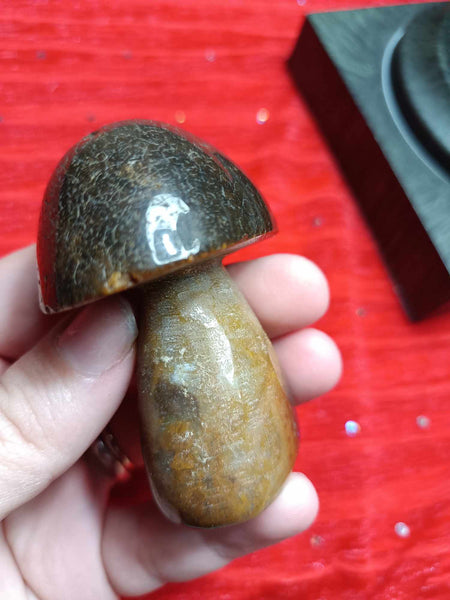 Ocean Jasper Crystal Mushroom