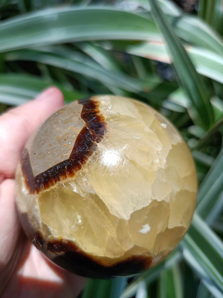 Septarian Sphere