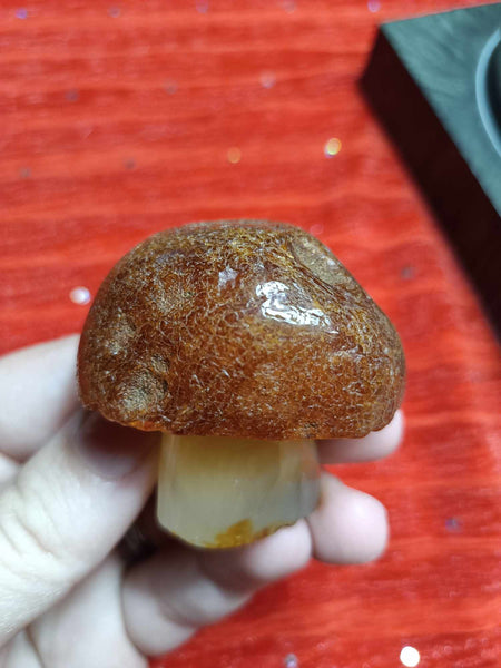 Crystal Mushroom Agate