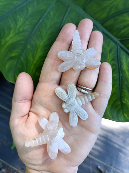 Agate Crystal Dragonfly Carving