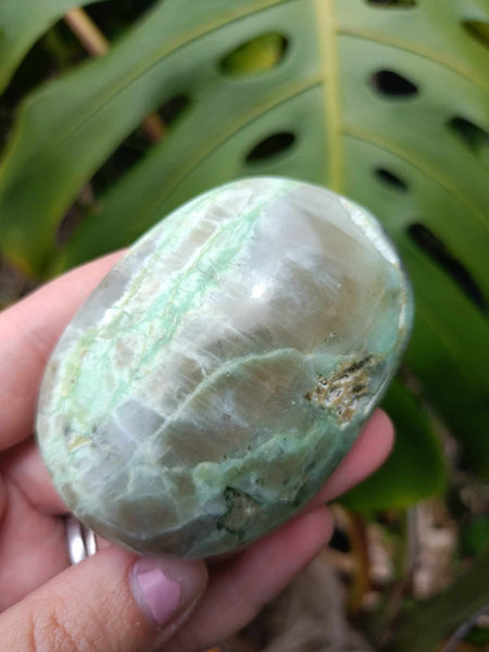 Green Moonstone Palm Garnierite