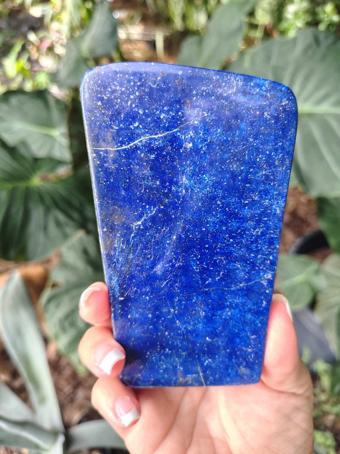 Lapis lazuli freeform very blue