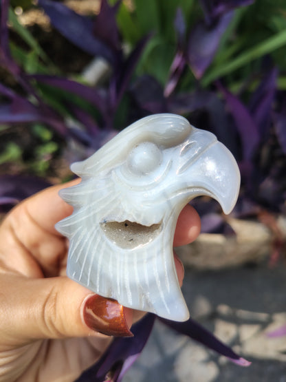 Agate Eagle carving with druzy pocket