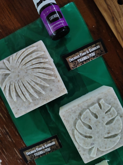 Goatmilk Soap: Lavender Abundance Bars 10