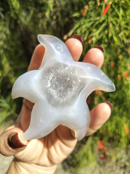 Starfish Agate Crystal Carving