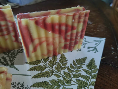GoatsMilk Soap Citrus County Florida Orange