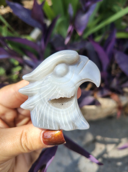 Agate Eagle carving with druzy pocket