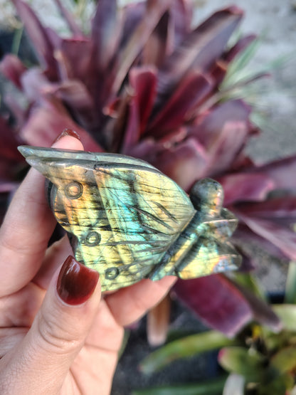 Labradorite Fairy Stone fantasy carving