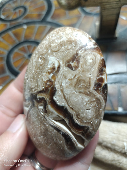 Chocolate Calcite Palmstone