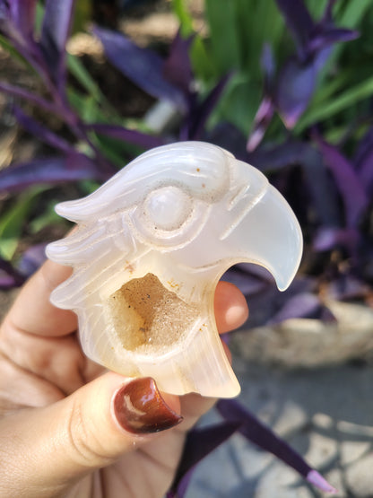 Agate Eagle with cave druzy #3