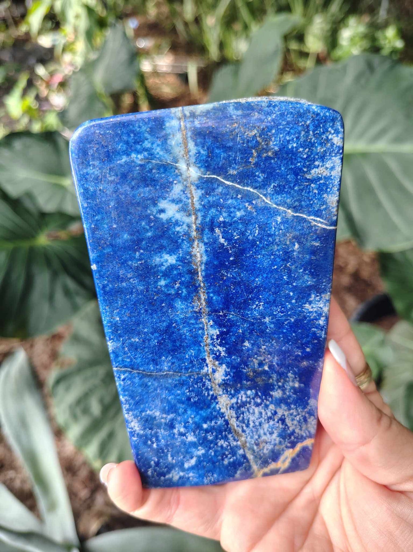 Lapis lazuli freeform very blue