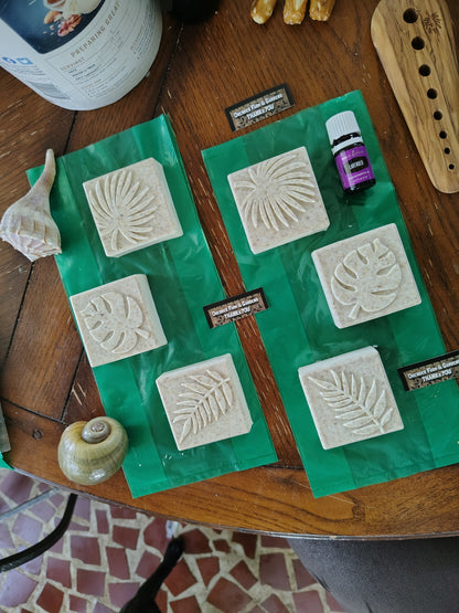 Goatmilk Soap: Lavender Abundance Bars 10