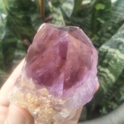 Amethyst Piller Brazil