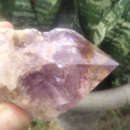 Amethyst Piller Brazil