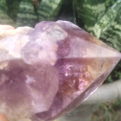 Amethyst Piller Brazil