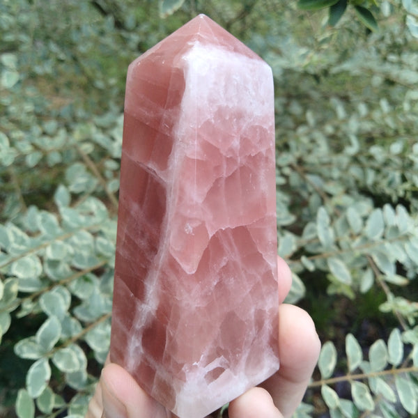 Pink Rose Calcite