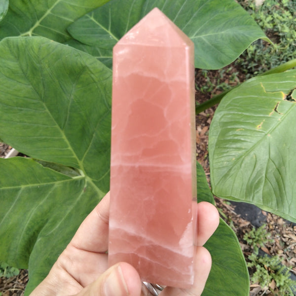 Pink Rose Calcite