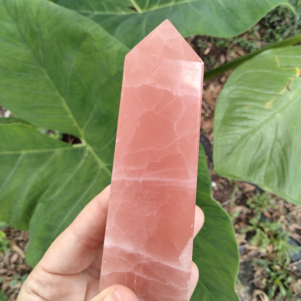 Pink Rose Calcite