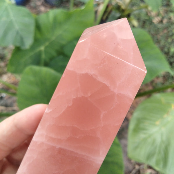 Pink Rose Calcite