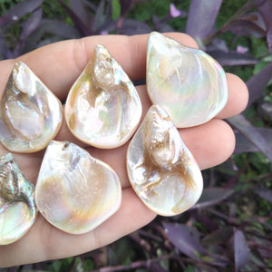 Angel Aura Shell Teardrop pendent