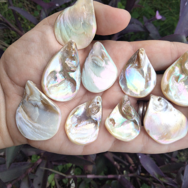 Angel Aura Shell Teardrop pendent