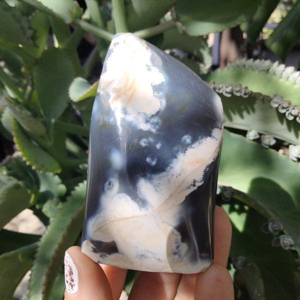 Orca Agate Flame 8