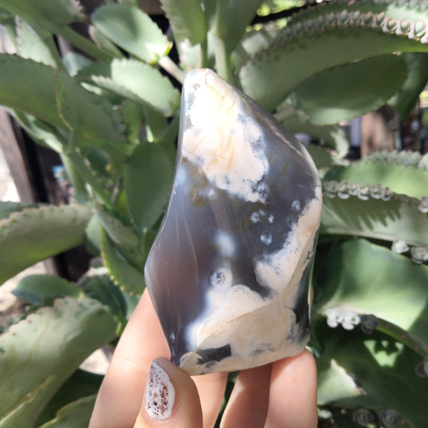 Orca Agate Flame 8