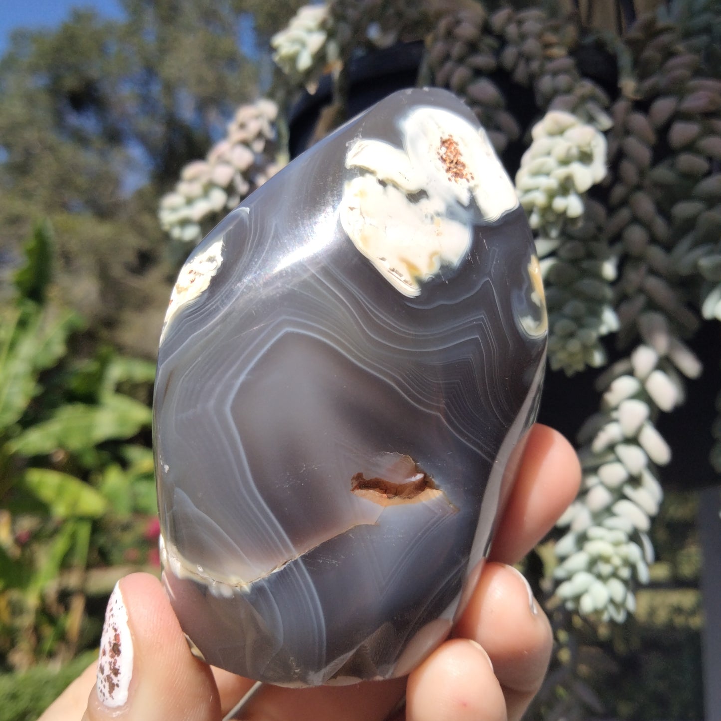 Orca Agate Flame with bands 9