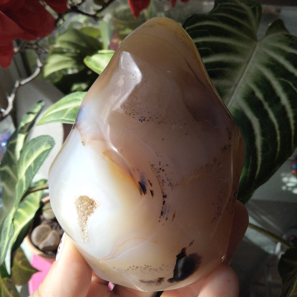 Orca and dendrite Agate Flame 1