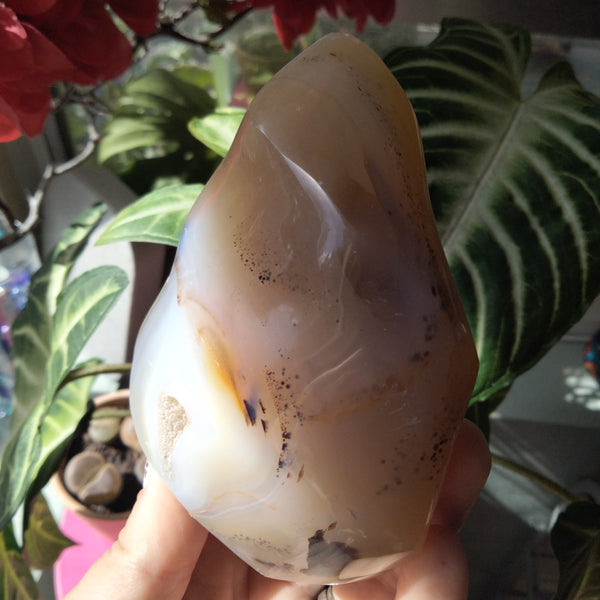 Orca and dendrite Agate Flame 1