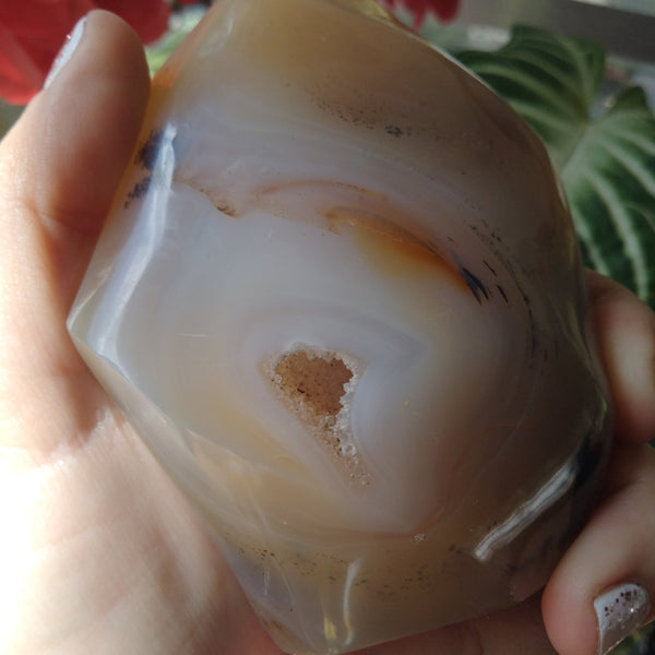 Orca and dendrite Agate Flame 1