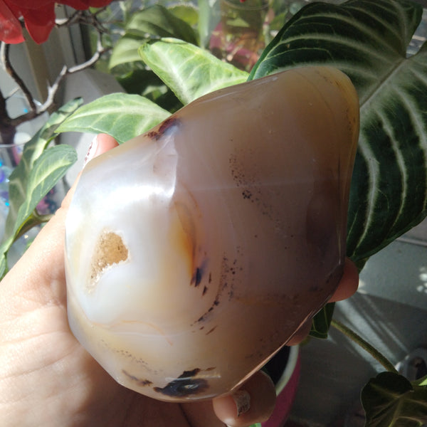 Orca and dendrite Agate Flame 1