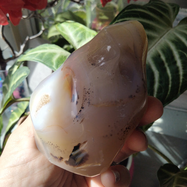 Orca and dendrite Agate Flame 1