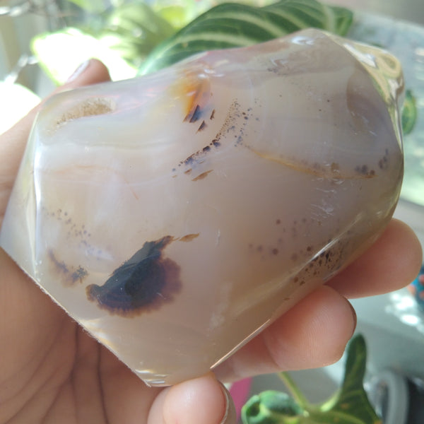 Orca and dendrite Agate Flame 1