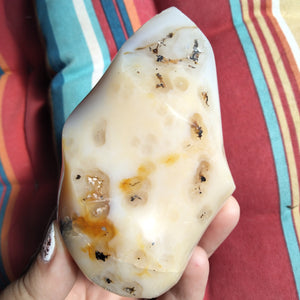 Orca and Dendrite Agate Flame 2