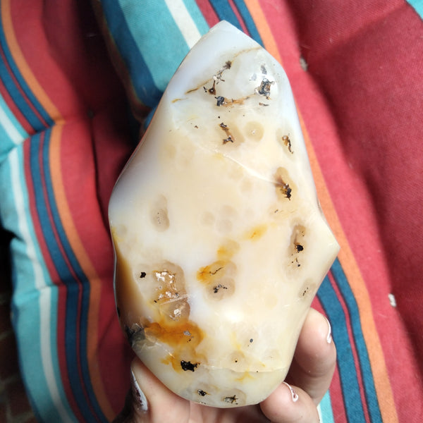 Orca and Dendrite Agate Flame 2