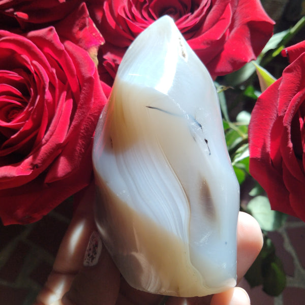 Orca and dendrite Agate Flame 3