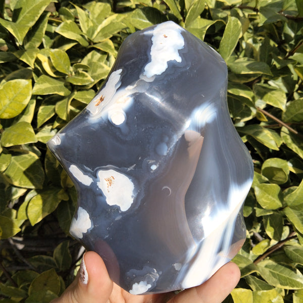 Orca Agate Flame 1