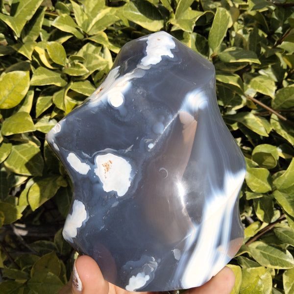 Orca Agate Flame 1