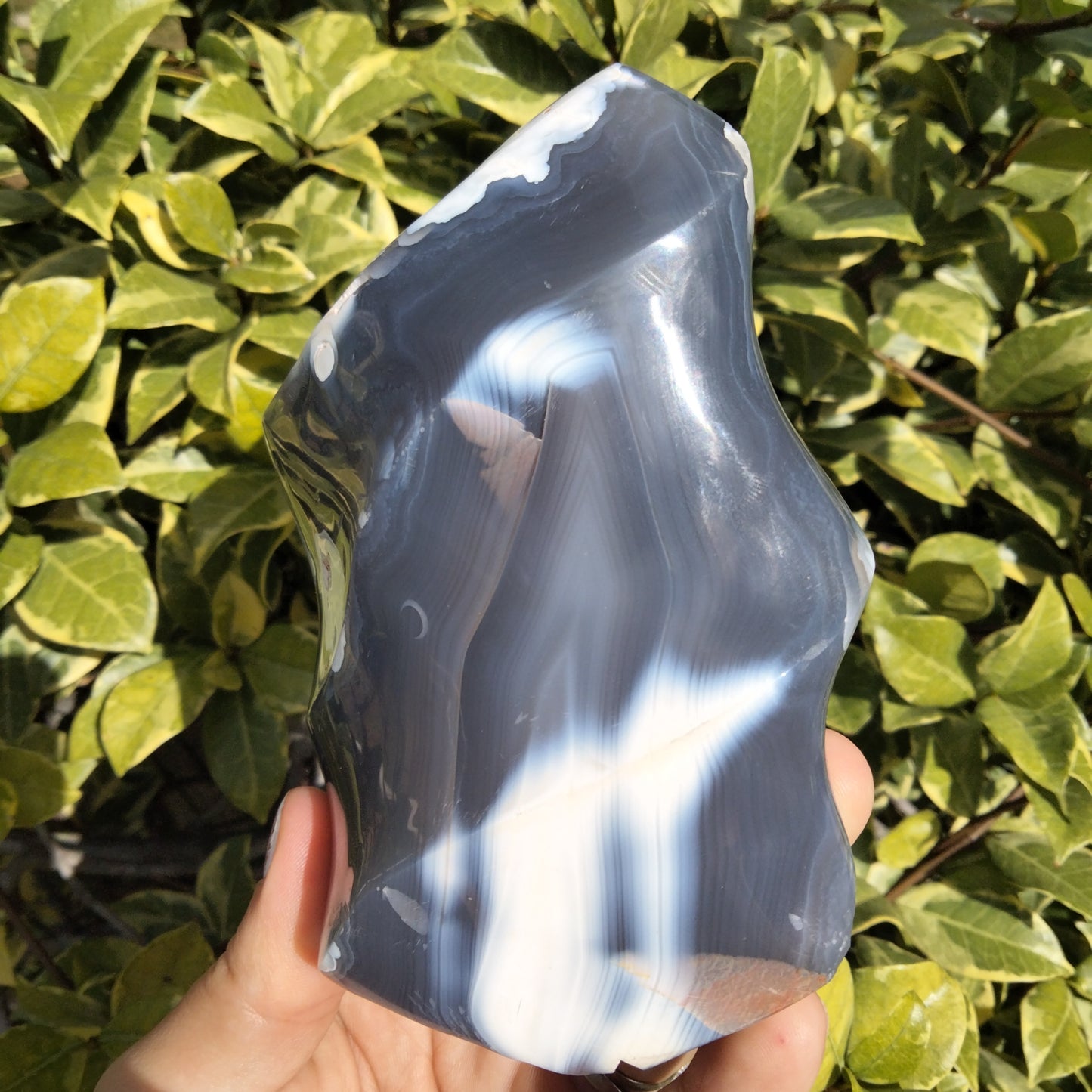 Orca Agate Flame 1